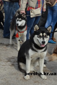 DSC_0121