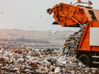 Новини Кропивницький Сміттєзвалище Сміття