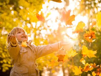 Новини Кропивницького та Кіровоградщини, яка погода у Кропивницькому, погода у Кропивницькому