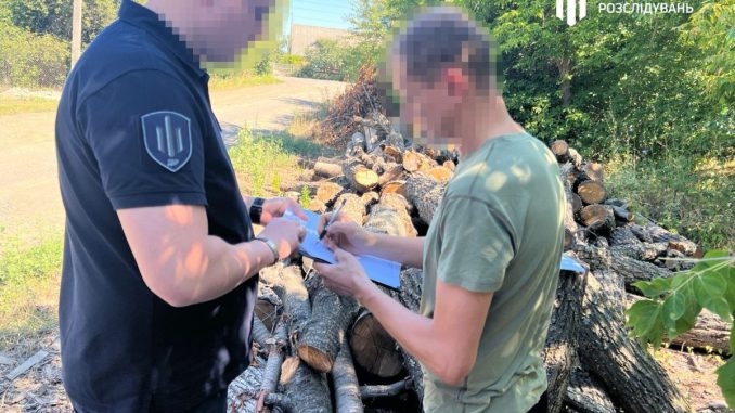 Новини Кіровоградщини, вирубка дерев, ДБР