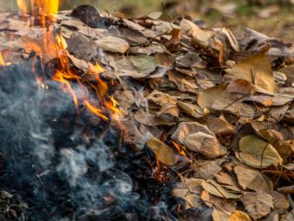 Новини Кропивницького та Кіровоградщини, штраф за підпал листя, який штраф за підпал листя