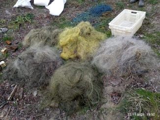 Новини Кіровоградщини, екоінспекція