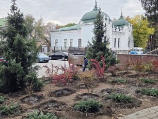 озеленення біля ЦНАПу у Кропивницькому, новини Кіровоградщини