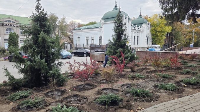 озеленення біля ЦНАПу у Кропивницькому, новини Кіровоградщини