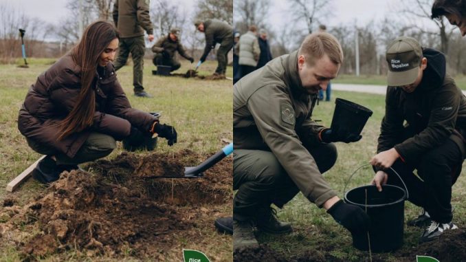 Новини Кропивницького та Кіровоградщини, ДП "Ліси України", програма "Зелена країна"