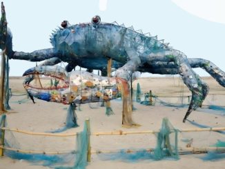 Новини Кіровоградщини, творчий конкурс від Екостайл