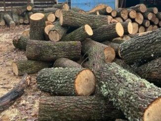 Новини Кропивницького та Кіровоградщини