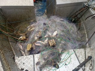 Новини Кіровоградщини, браконьєри