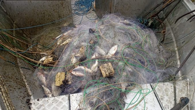 Новини Кіровоградщини, браконьєри