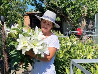 грант на бізнес, жіночий бізнес, новини Кіровоградщини