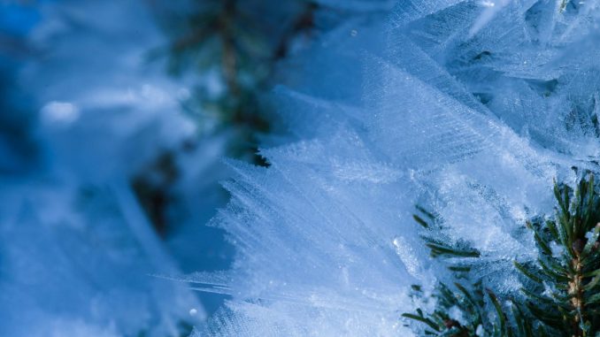 Новини Кропивницького та Кіровоградщини, погода, мороз, зима у Кропивницькому, прогноз погоди