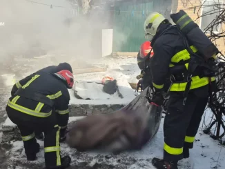 Новини Кропивницького та Кіровоградщини, Пожежа, ДСНС, Загинула жінка на пожежі